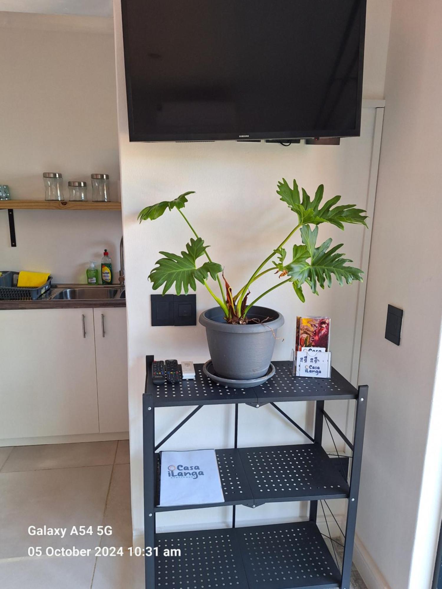 Casa Ilanga Guesthouse Somerset West Luaran gambar